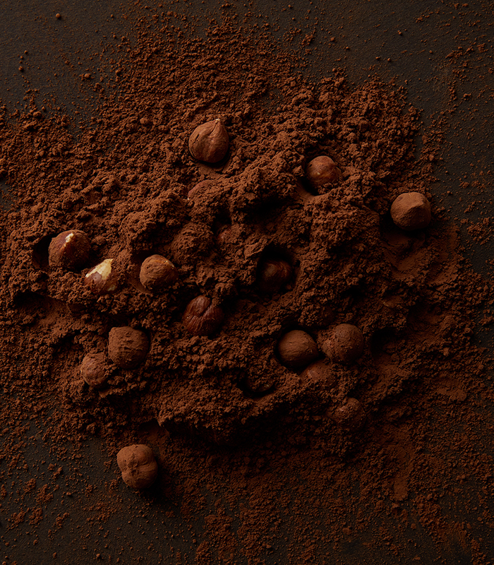 top view of gourmet cocoa powder and hazelnuts on dark backgroun