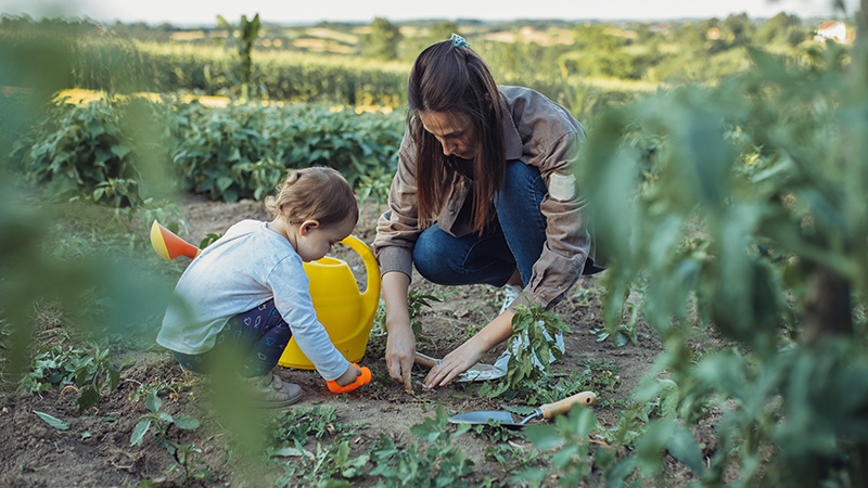 Mother and her daughter working on the organic garden. Young mot