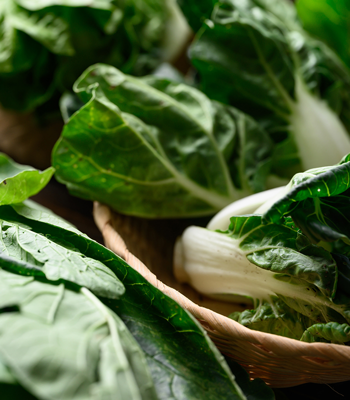 Fresh organic vegetables from local farmers market in spring sea