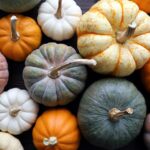 Cream of Pumpkin Soup - Image 2