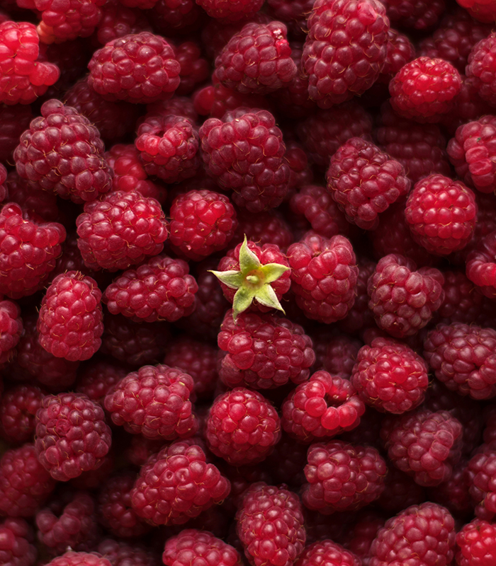 Ripe raspberries close-up macro photography, selective focus, fruit background